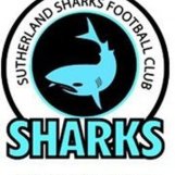 sharks logo